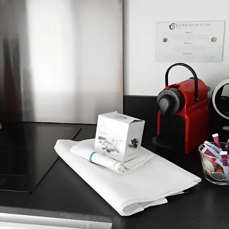 Les Du Saint Nazaire, Vue Panoramique Sur La Cite Medievale - Les Balcons De La Cite * 카르카손