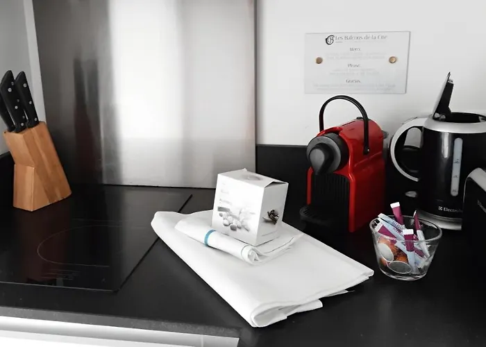 Les Du Saint Nazaire, Vue Panoramique Sur La Cite Medievale - Les Balcons De La Cite * Carcassonne