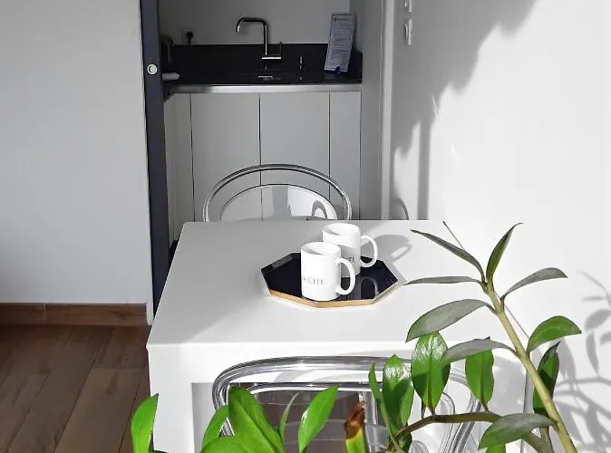 Les Du Saint Nazaire, Vue Panoramique Sur La Cite Medievale - Les Balcons De La Cite * Carcassonne